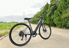 Freego E7 Electric Bicycle For City Commuting