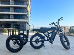 Freego Electric Bicycle Cargo Rear Trailer