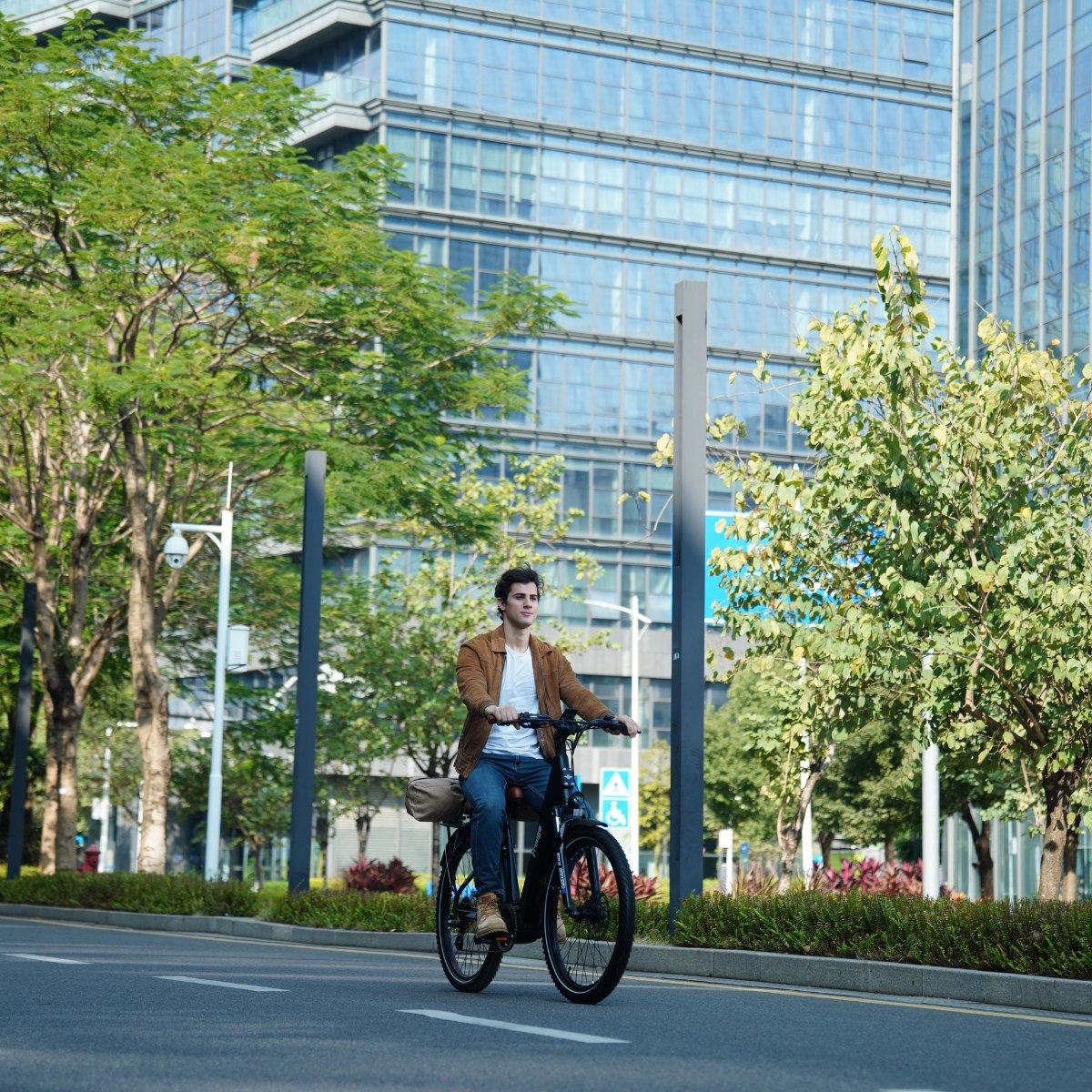 Freego City Flow A1 eBike