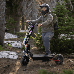 Freego D11 Landtiger Electric Scooter Foldable Dual Motor 4000W