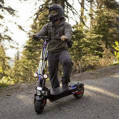 Freego D11 Landtiger Electric Scooter Foldable Dual Motor 4000W