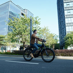 Freego City Flow A1 eBike