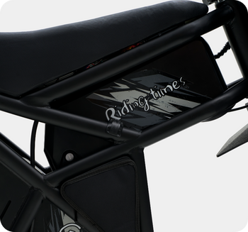 High-Capacity 48V 18.2Ah*2 Removable Battery (Dual)