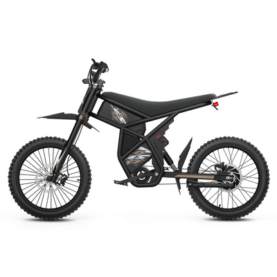 GT73 Pro Electric motor bike