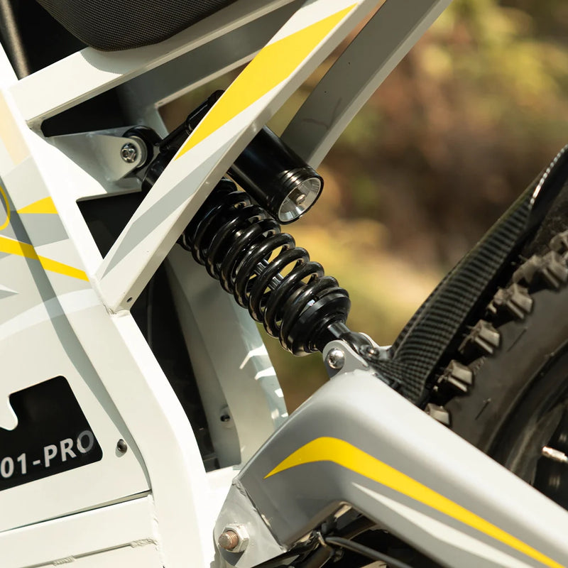 Rear Shock Absorption