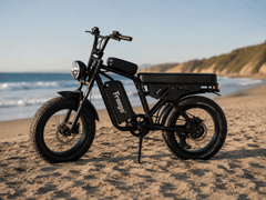 Freego Shotgun Lite F0: Ideal Electric Bike for Short Riders (4'11" to 5'11")