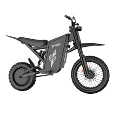 Freego X0 Electric Mini Bike for Teens and Adults