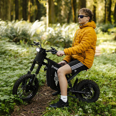 Freego X0 Electric Mini Bike for Teens and Adults