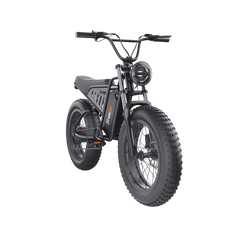 Freego S1 Cafe Racer eBike