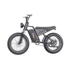 Freego S1 Cafe Racer eBike